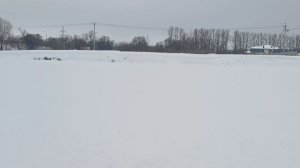 Пахра. 14.02.2025. с Ям.