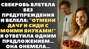 Золовка бросила близнецов со словами "Брат сказал, что ты согласна!" Я улыбнулась, помахала ручкой