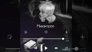 Мизантроп – ИИ&ВИЦЕЙОВА