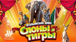 Итальянский цирк «Слоны и тигры» 🐘 🐅 #слоныитигры #MammaMia #итальянскийцирк #слон #тигр