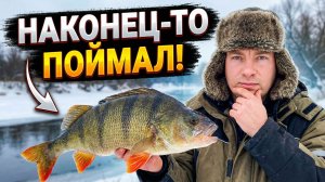Настоящий трофей! Зимняя рыбалка удалась на славу: такого улова я не ожидал!