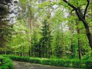 Белоруссия