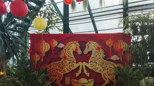 Год Красной Огненной Лошади.