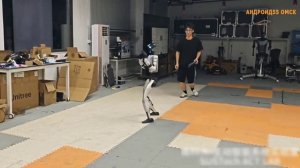 Кунг фу с роботом Yushu: Когда хитрый человек тебя бьёт, а ты его не видишь