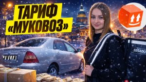 ТАРИФ МУКОВОЗ БЕРУ ВСЕ ПОДРЯД В ЯНДЕКС ПРО ДОСТАВКА/Отсутствие спроса тариф экспресс/Работа курьером