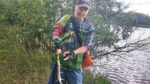 Ловим с Маринкой щуку в лесу на блесну