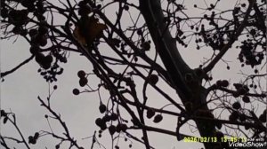 Мариуполь 🏙️ 13.02.2026.