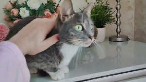 Уборка #556 сын подключился)