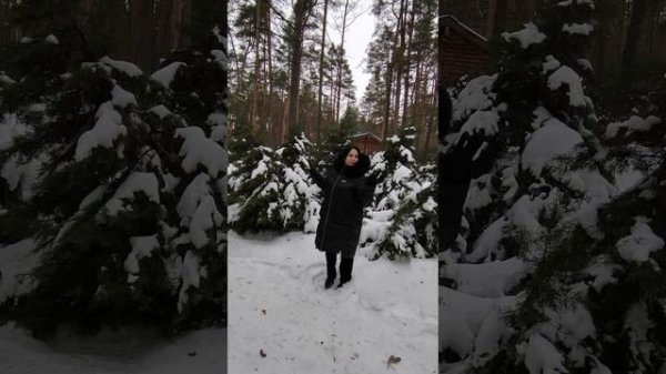 Какая долгая зима...... 14.02.26.