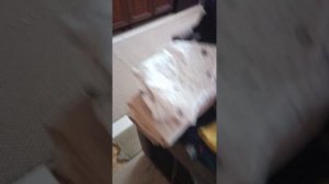 numberblocks намберблокс шоу 14,16,17,19,20 проходят испытания часть 2