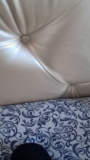 распаковка дилфина