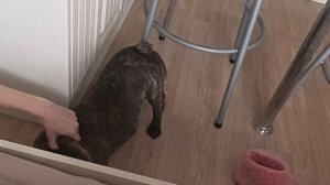 Крашик на Массаже