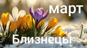 Таро расклад для Близнецов на март 2026 года