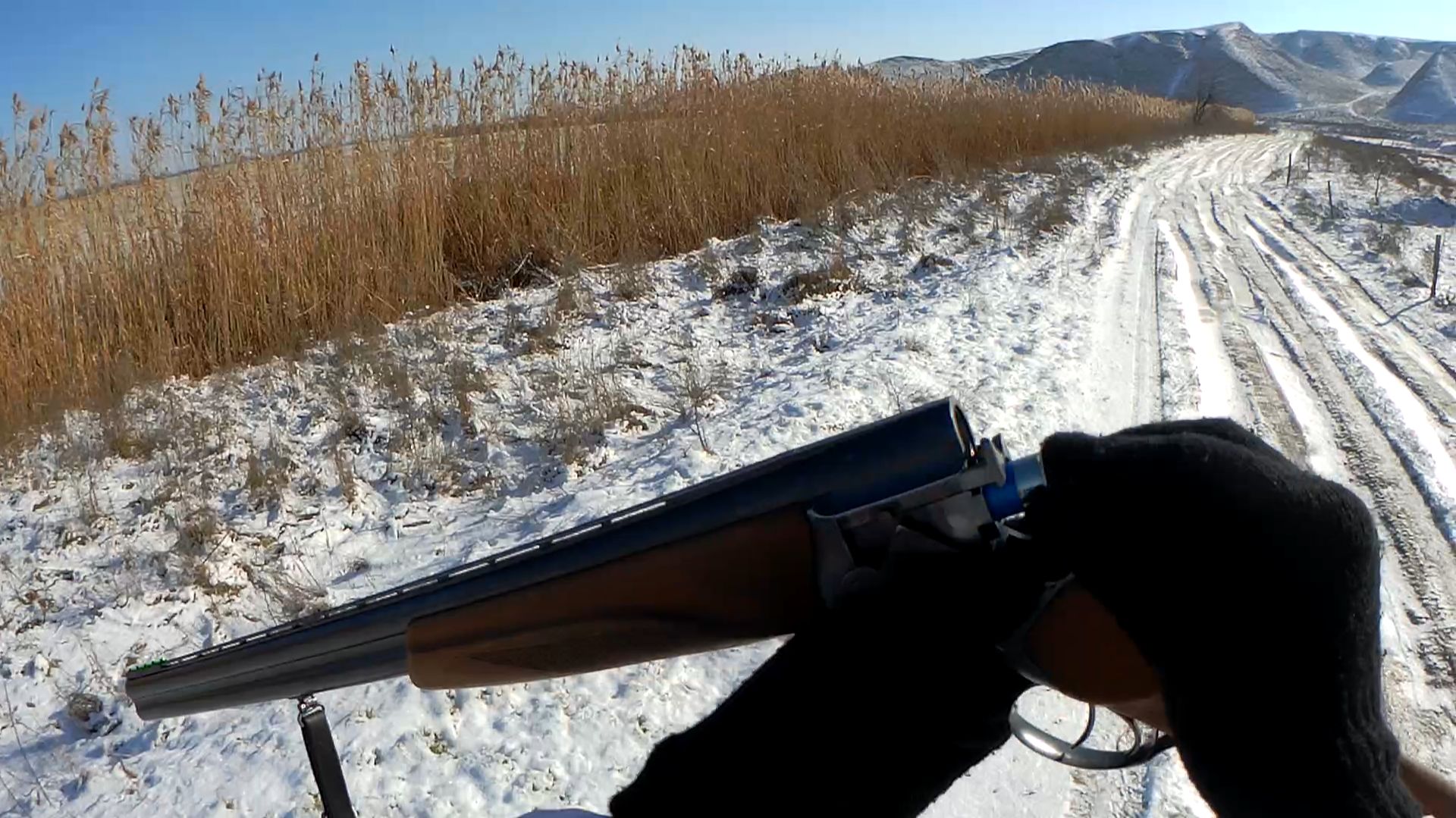 ПОСЛЕДНЯЯ ОХОТА НА ЗАЙЦА ПО СНЕГУ СЕЗОНА 2025-2026 смотреть онлайн