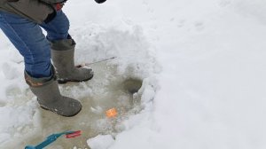 VID_20260214_204854_680