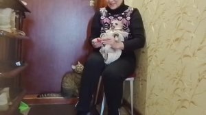 Прогулка с собакой.Маська провожает/Сапожки и носочки для чихуахуа/Мои питомцы/Личная жизнь/Россия/