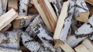 МОЙ   ПЛАН на 2026 год            ПОДПИШИСЬ