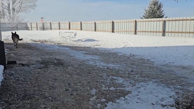 Сельчанка в Америке/СКАЗОЧНАЯ АМЕРИКА ДЛЯ ПРОСТЫХ ЛЮДЕЙ. смотреть онлайн