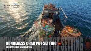 Коммерческий сезон Dungeness Crab открыт на 48 часов | Племенные рыбаки спешат ставить ловушки