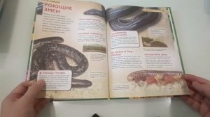 Книжные покупки #6 февраль 2026