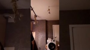 АЛЛАГЬ Велик ❤️