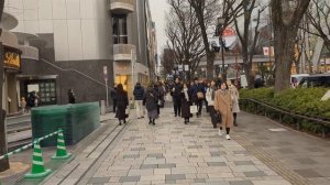 ХАРАДЗЮКУ И ОМОТЭСАНДО ✨ Главный маршрут Токио: от молодежной моды до люкса