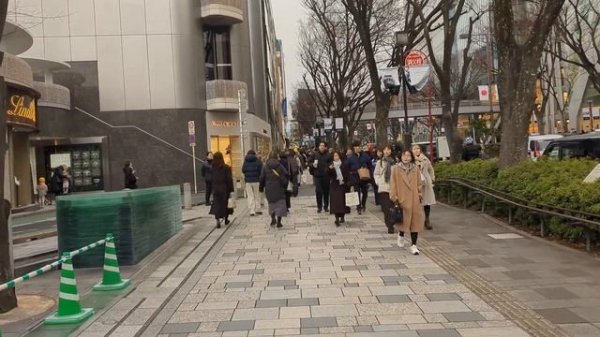 ХАРАДЗЮКУ И ОМОТЭСАНДО ✨ Главный маршрут Токио: от молодежной моды до люкса