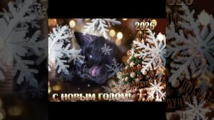 С новым годом, люди! 2026