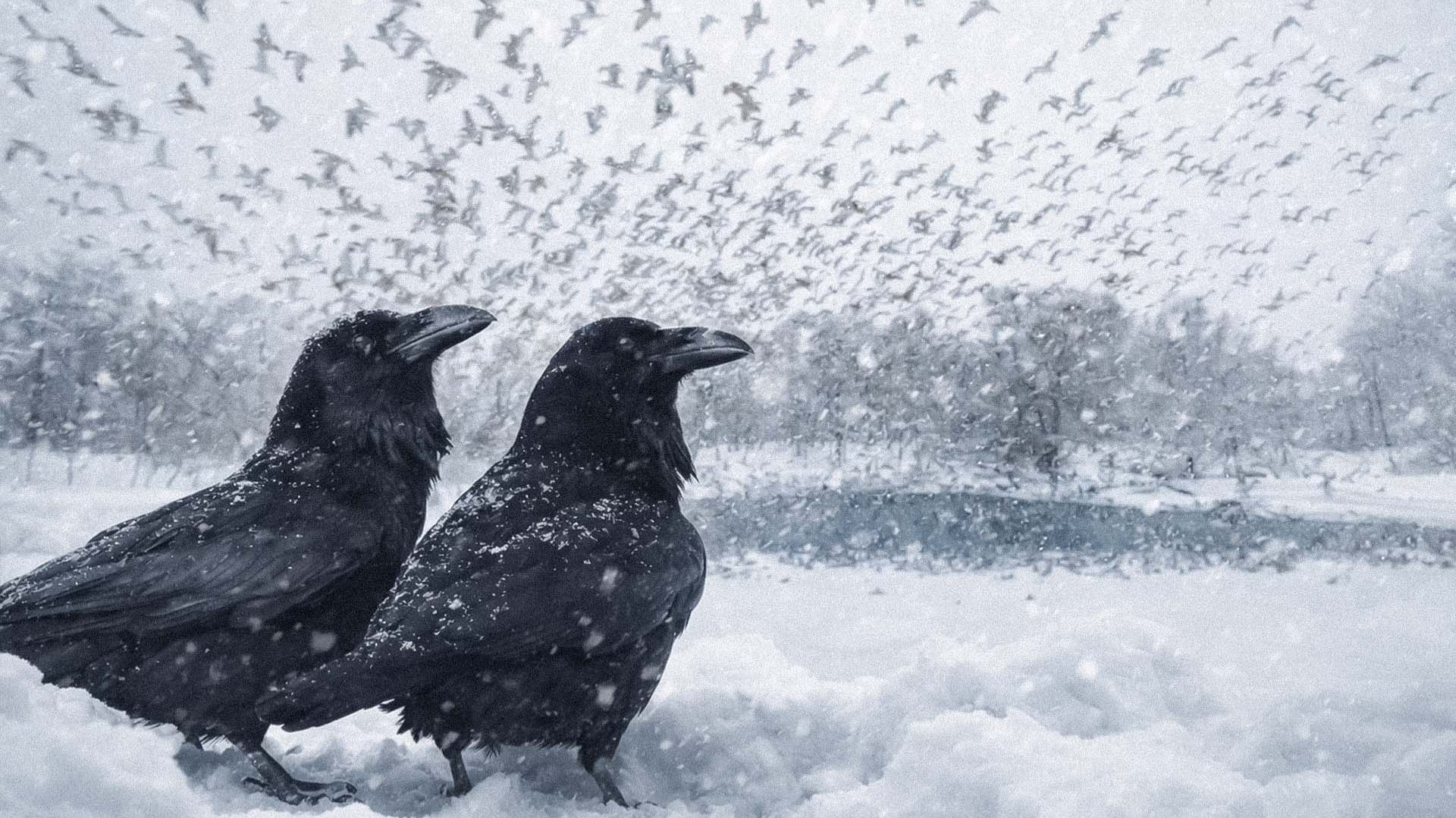 Выжить там, где это кажется невозможным: сколько птиц переживает зиму и как они помогают ученым? смотреть онлайн