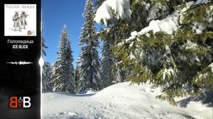 Гололедица