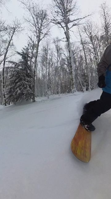 Покатушки в Губахе Insta360x3