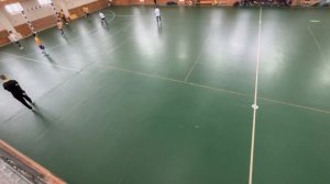 Импульс-Львы - Мир-Желтые 14-02-2026