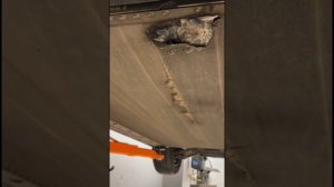 ZEEKR который дорогой китайский автомобиль,УЖЕ И НЕТ ЖЕЛАНИЯ КУПИТЬ ,СМОТРЯ ЭТИ РОЛИКИ