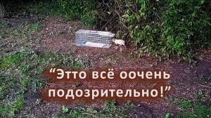 Ловим мелкого на кильку и колбасу