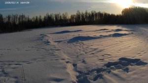 вечер в снт 4