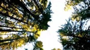 Хорошо когда вместе в общении (караоке)