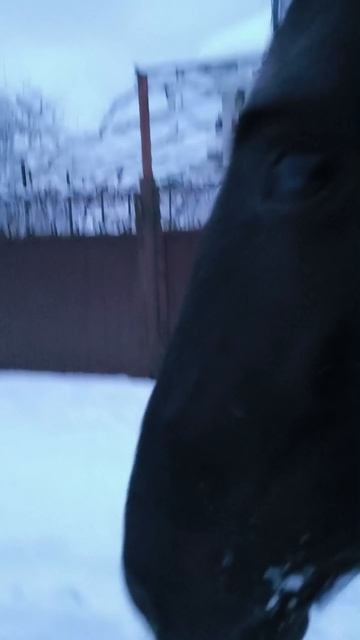 1000423609.mp4 смотреть онлайн