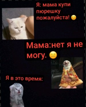 смотри мои альбомы чек