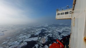 Лихачев заявил о развитии интереса и росте числа участников СМП