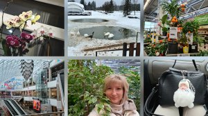 14.02.2025 г День со мной/ OBI/ Комнатные растения/ Прогулка на озере с лебедями/ Орхидеи