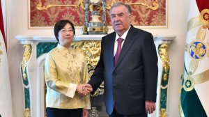 Таджикистан и Азиатский банк инфраструктурных инвестиций договорились о сотрудничестве в энергетике