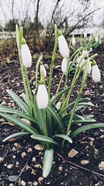 замёрзли немножко