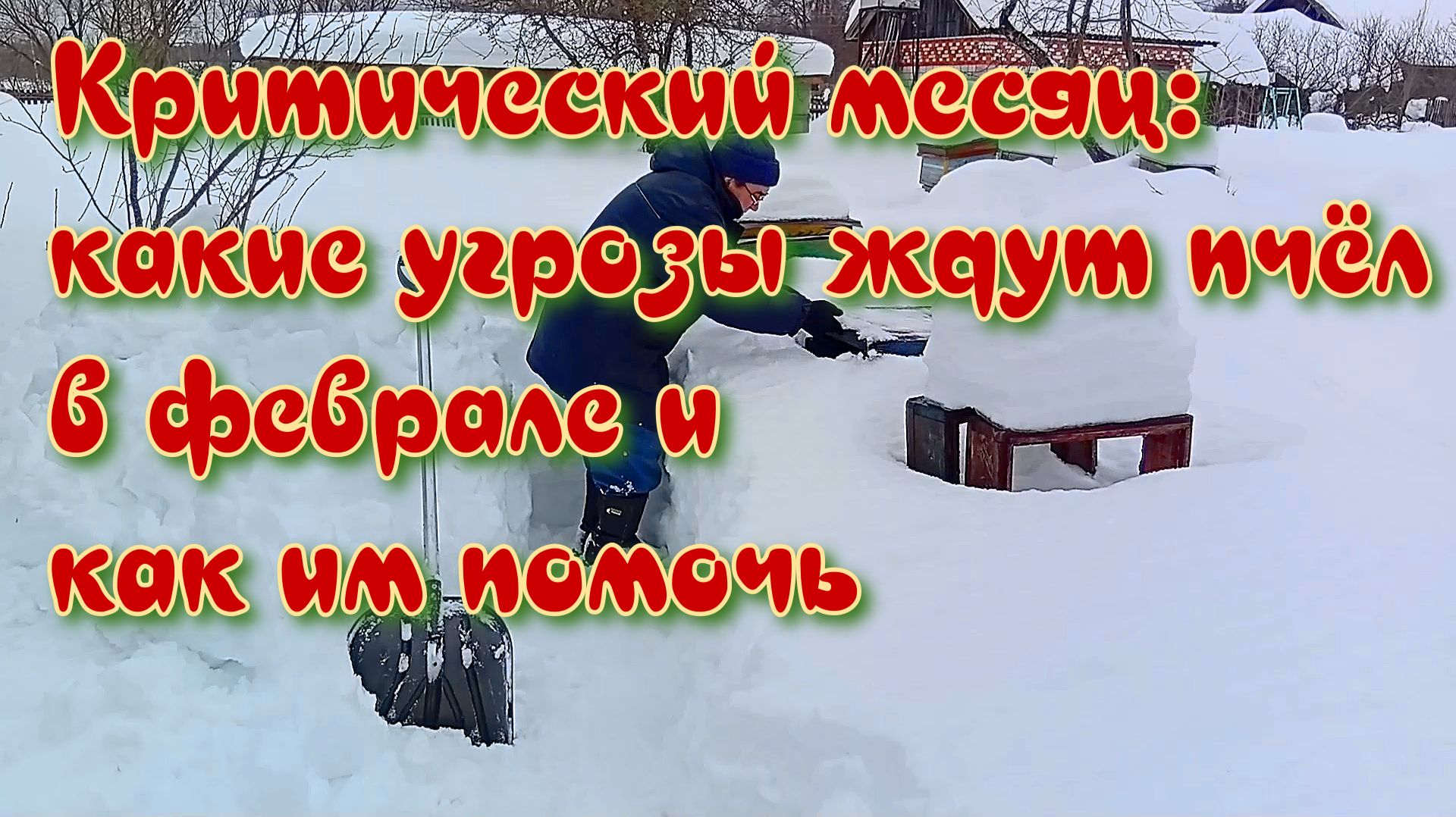 Конец зимовки: чего опасаться пчеловоду в феврале? смотреть онлайн