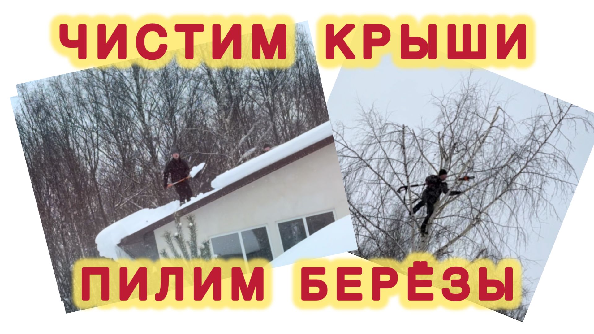 ЧИСТИМ КРЫШИ И ПИЛИМ БЕРЕЗЫ