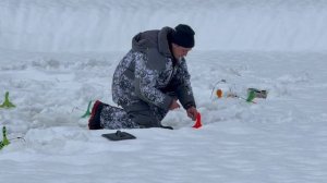 Поимки форели !!!