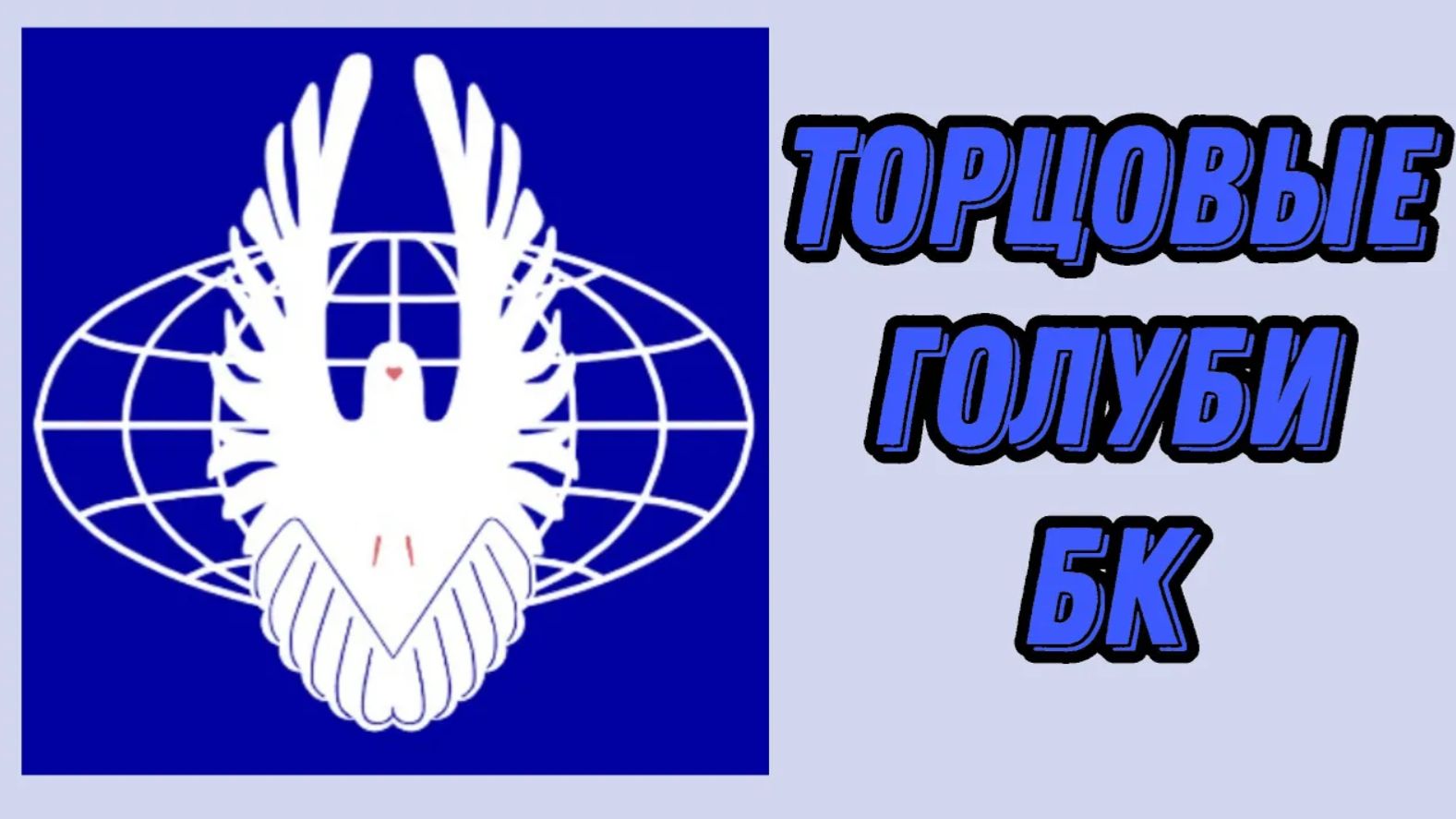 Торцовые голуби БК (Белокалитвинские). Май 2021 года смотреть онлайн