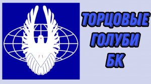 Торцовые голуби БК (Белокалитвинские). Май 2021 года