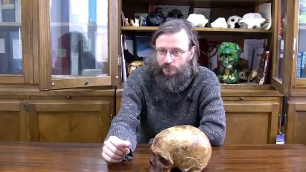 Дробышевский. Работает ли естественный отбор сегодня