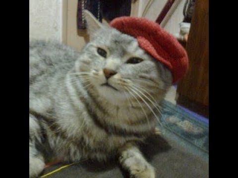 Защита и оборона