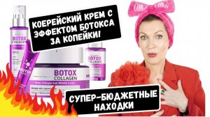 2026-02-11 Бюджетка